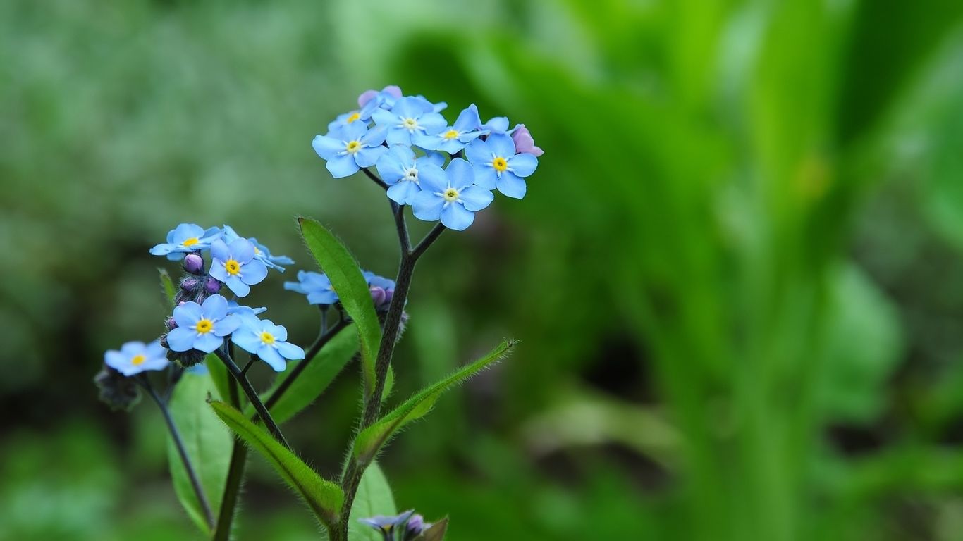 尚品名烟名酒200508