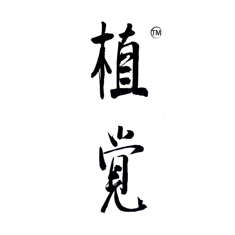 植觉intuition200509