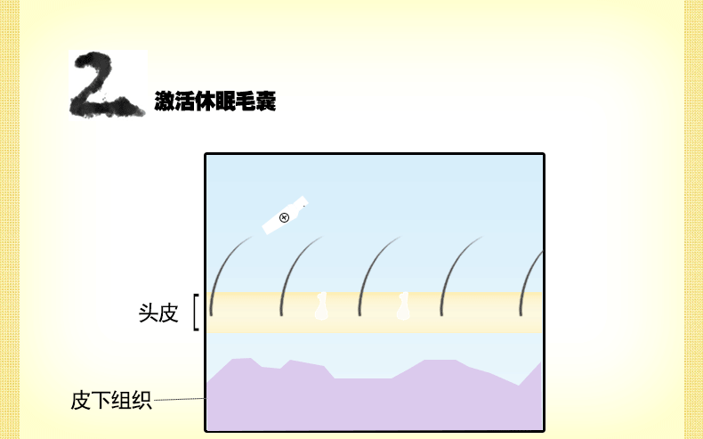 防脱生发头发快速增长tianfayuan增发密发脂溢性产后脱发男女特效