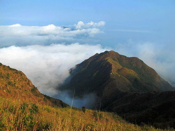 丰顺沙田镇人口_丰顺大宝山旅游景区(2)