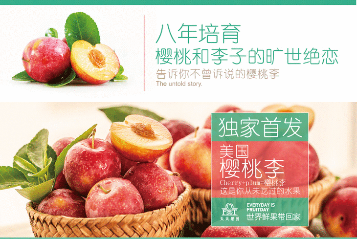 【美国新品】美国樱桃李cherry plums