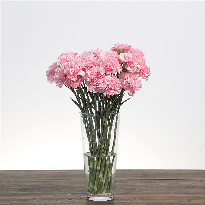 hs01030106   ʻ:ɫܰ   ʻ֦:18֦   Ԣ