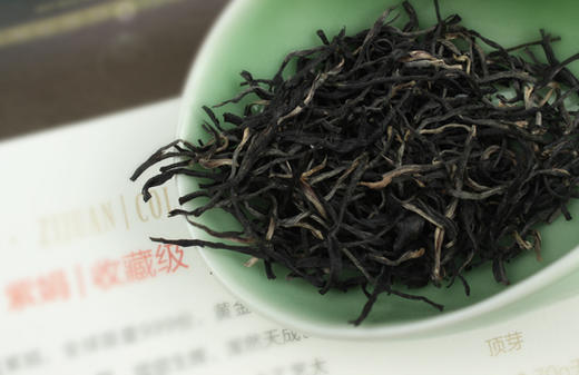 【生命之叶】收藏级紫娟 天下 母树 仅供典藏 商品图3