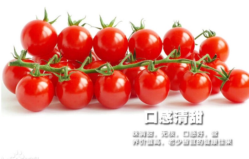 【果派优品】千禧果 红圣女果 小番茄西红柿 1