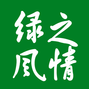 大庆鲜花店180313