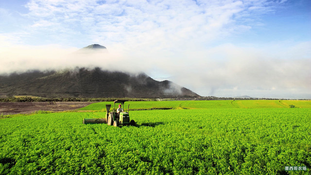 益尔宜日用品180313