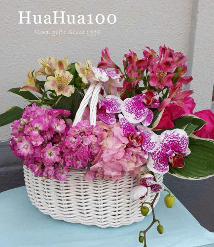 商务礼篮--蝴蝶兰绣球玫瑰水仙百合 商品图3