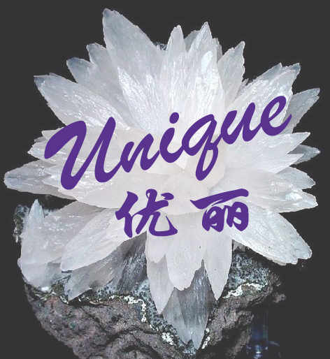 Unique 优丽160809