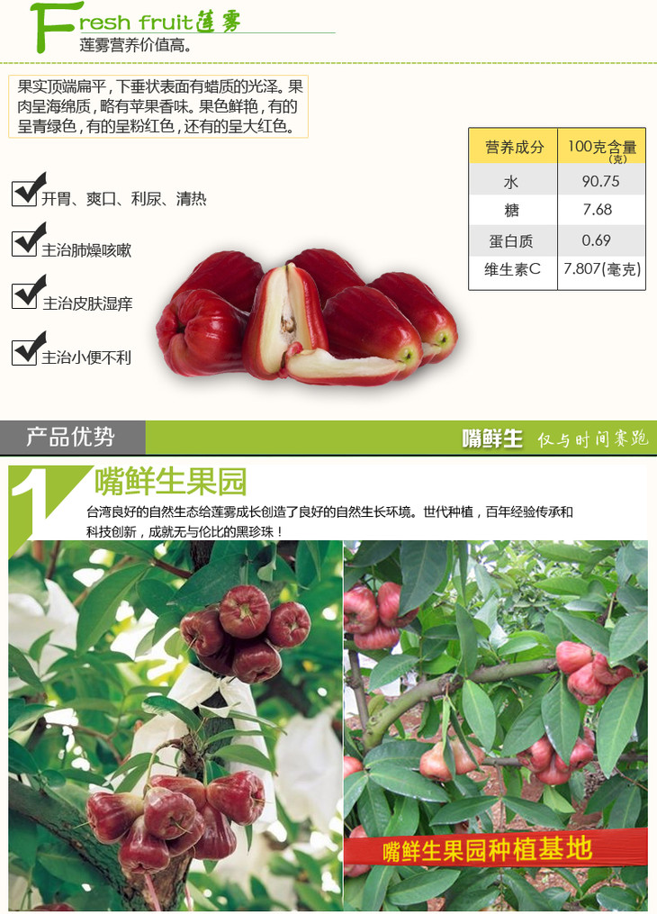 莲雾- 鲜果之家