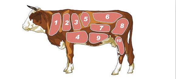 澳洲牛肉分割部位 _法国牛肉分割_牛肉部位分割图牛排_澳大利亚牛肉上脑