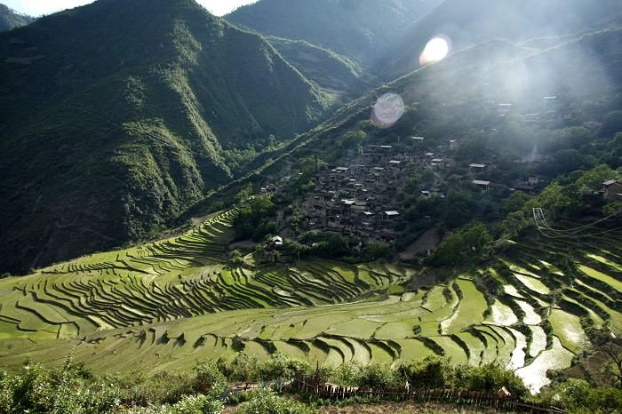 产地:云南怒江州兰坪县