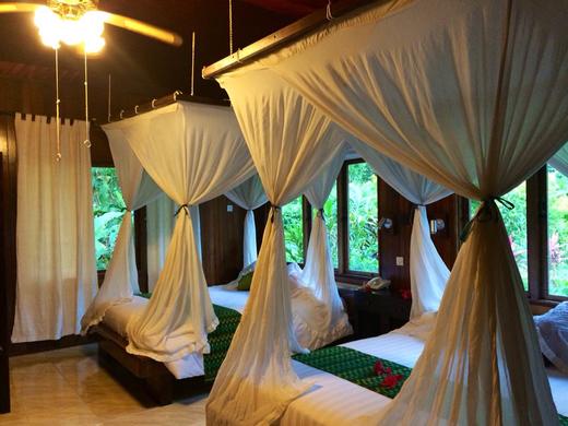 【度假村】印尼蓝碧Lembeh潜水度假 -  Kungkungan Dive Resort 商品图3