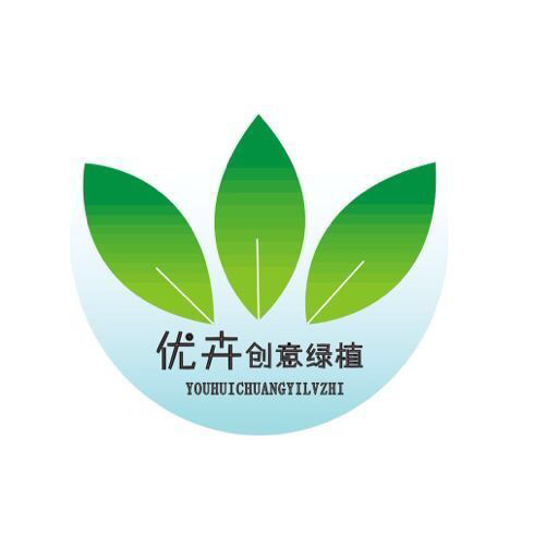 优卉绿植创意盆栽180313