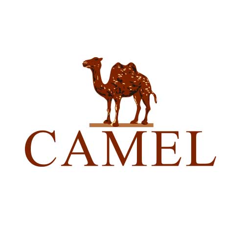 CAMEL骆驼户外200508