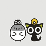 乐乐澳洲代购200429