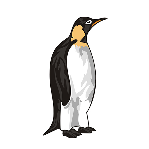 帝企鹅箱包200429