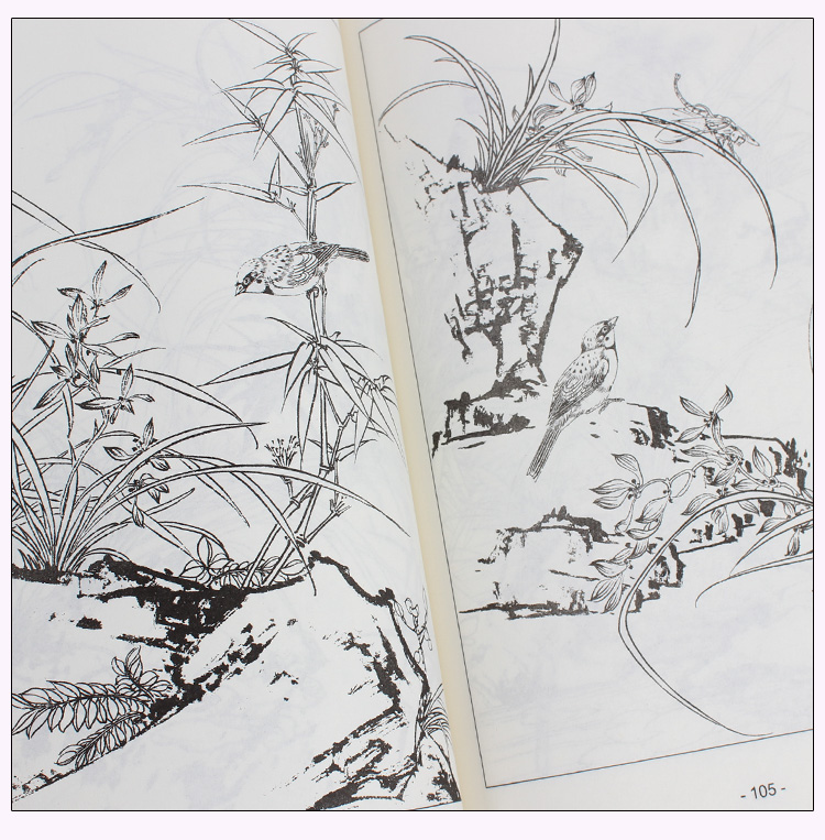 国画花鸟鱼虫白描画谱分享_国画花鸟鱼虫白描