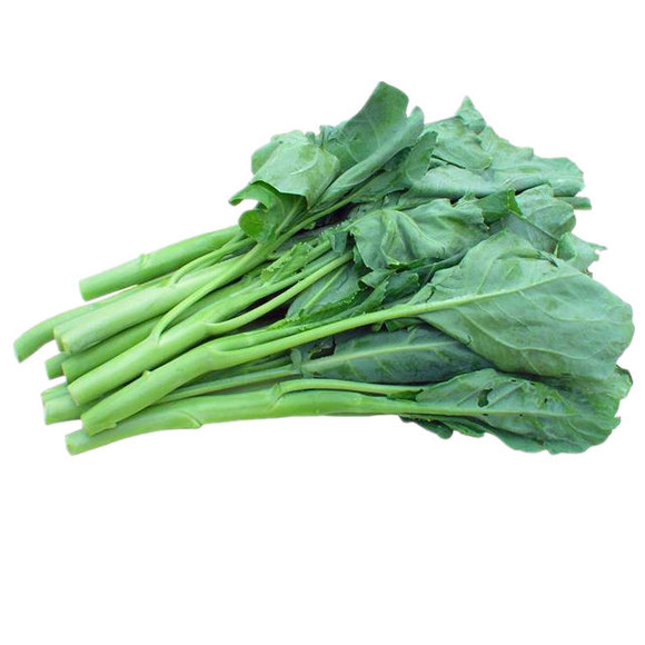 新鲜蔬菜 芥兰菜 青菜芥蓝 500g 新鲜脆嫩芥蓝苗 江门