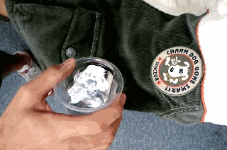 775351574.gif