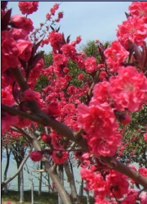 悦书画交流200509