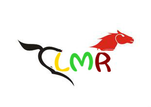 乐淼儿书城180314