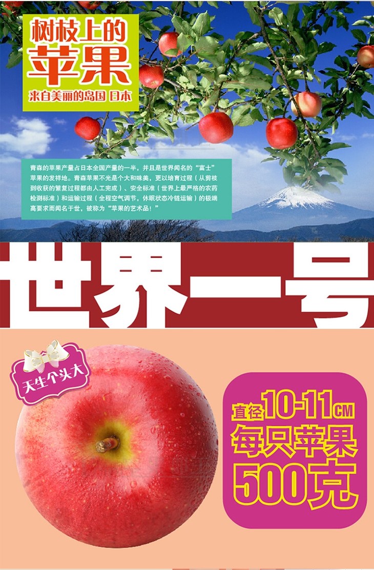 世界一号苹果 最大苹果 平安果 平安夜圣诞节礼物 1个