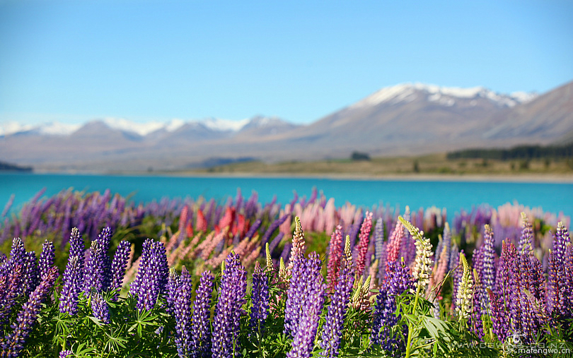 新源进口食品180314