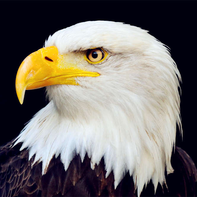 长乐营营食杂180313