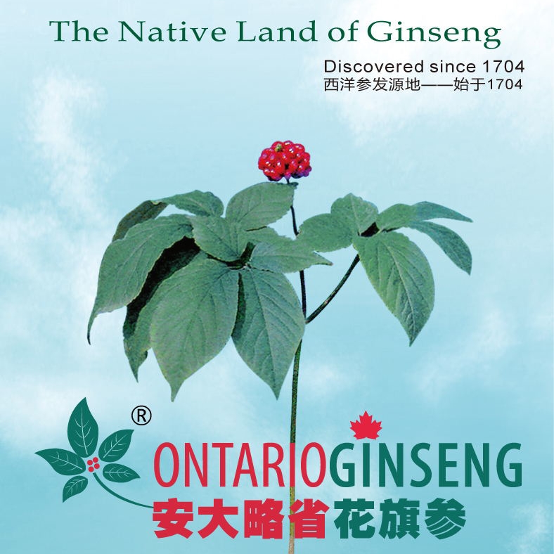 地道珍品Deidou旗舰店180314