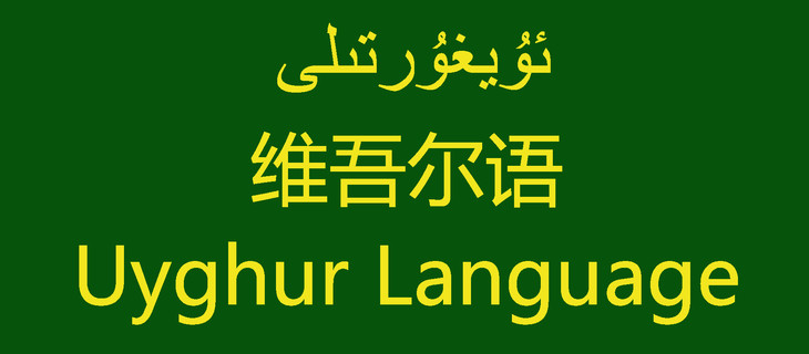 维吉达尼学维吾尔语