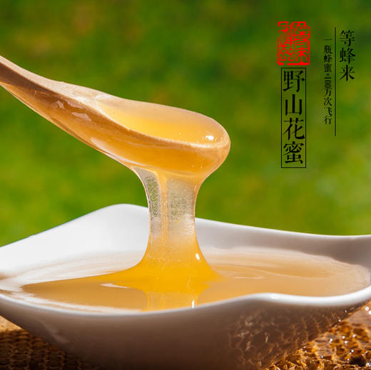 等蜂来蜂蜜 | 陕西凤县野山花蜜 商品图2