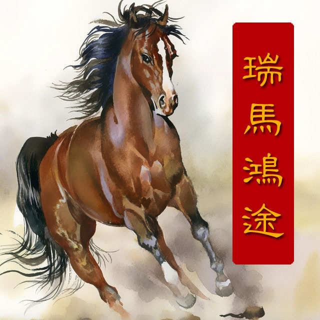 瑞马鸿途汽车脚垫180314