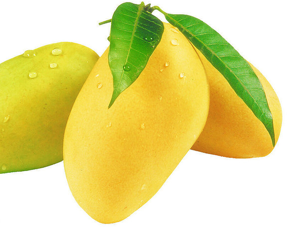 芒果系统的手机怎么样