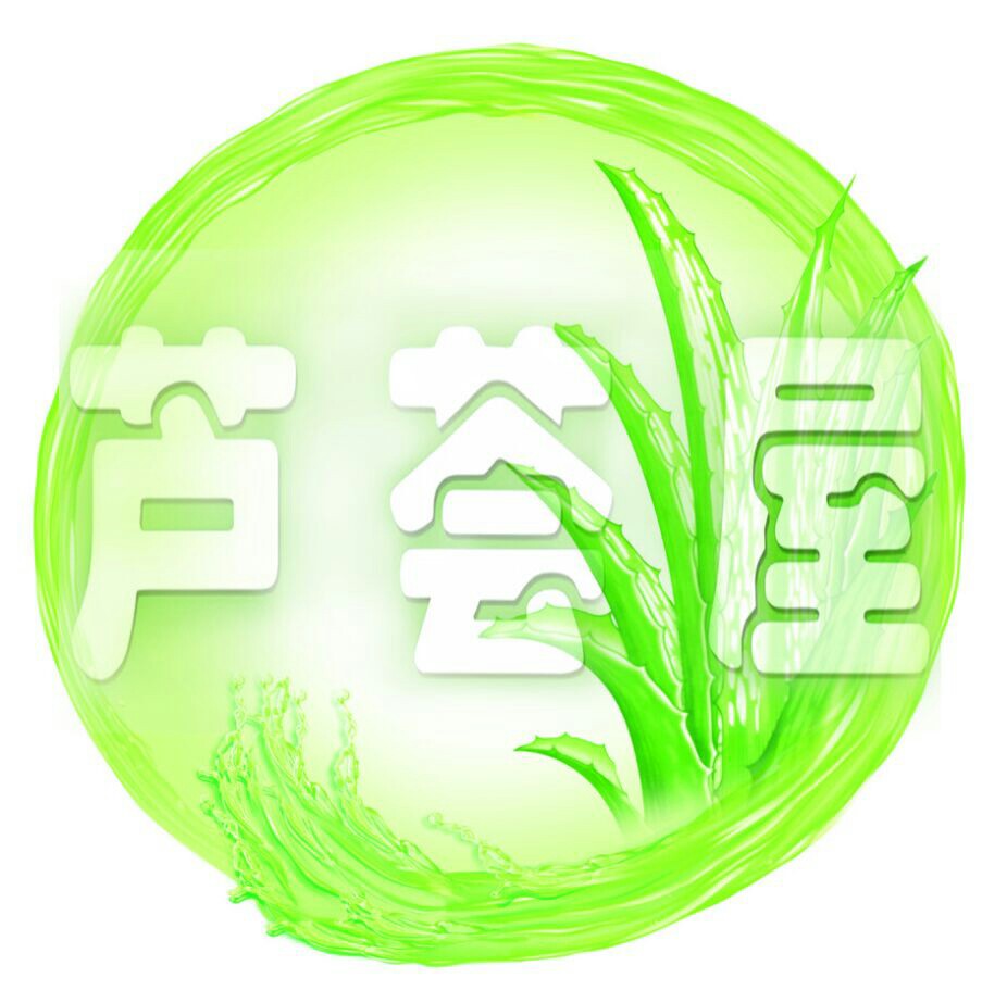 六盘水芦荟屋200508