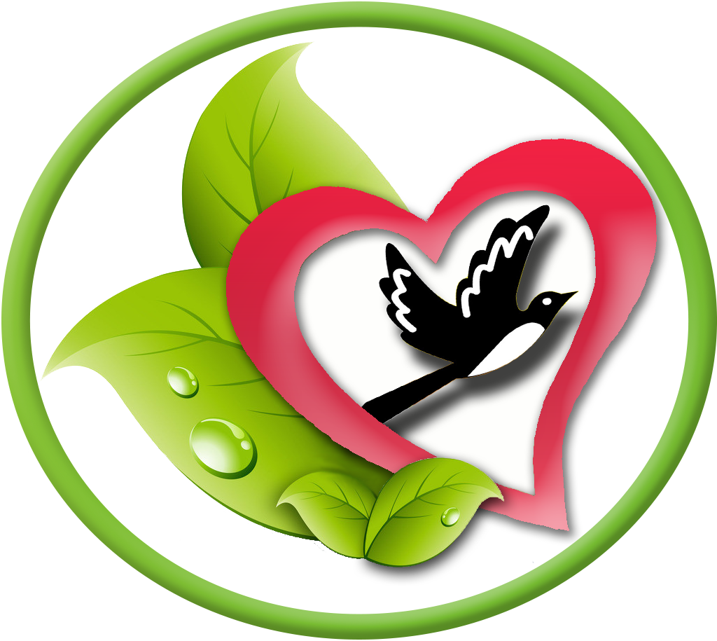 心燕健康生活馆200428