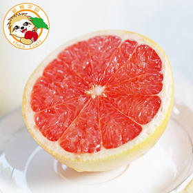 树懒果园 南非红心西柚6个|单果400g 超大个葡萄柚