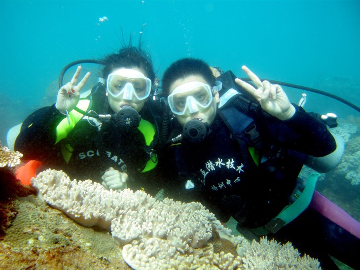 海底世界 三亚湾假日潜水之旅