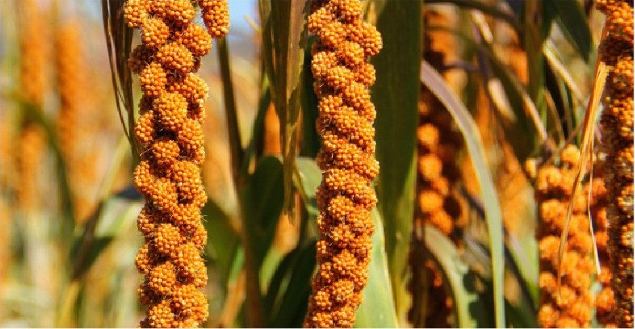 果然美店铺180314