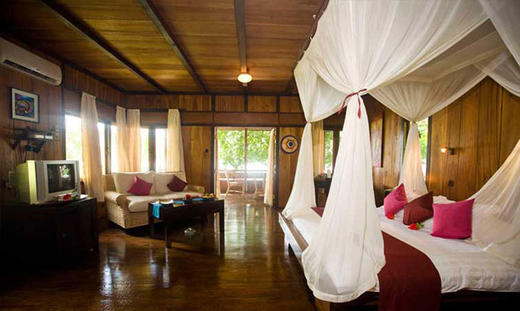 【度假村】印尼蓝碧Lembeh潜水度假 -  Kungkungan Dive Resort 商品图10