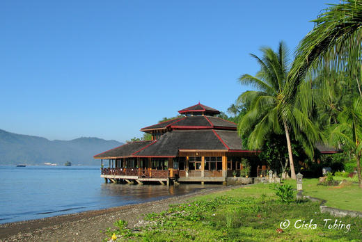 【度假村】印尼蓝碧Lembeh潜水度假 -  Kungkungan Dive Resort 商品图12