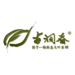 古洞春茶业161123