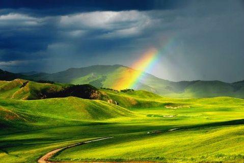 赛汗塔拉酒业200508