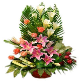 百合花篮_粉百合3d彩吧百合_百合花是百合的花吗