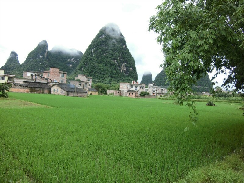 桂林乡村特产专卖200509