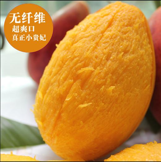 泰国彩芒 商品图0