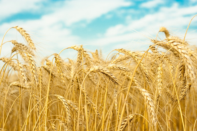 邻里配送网超180314