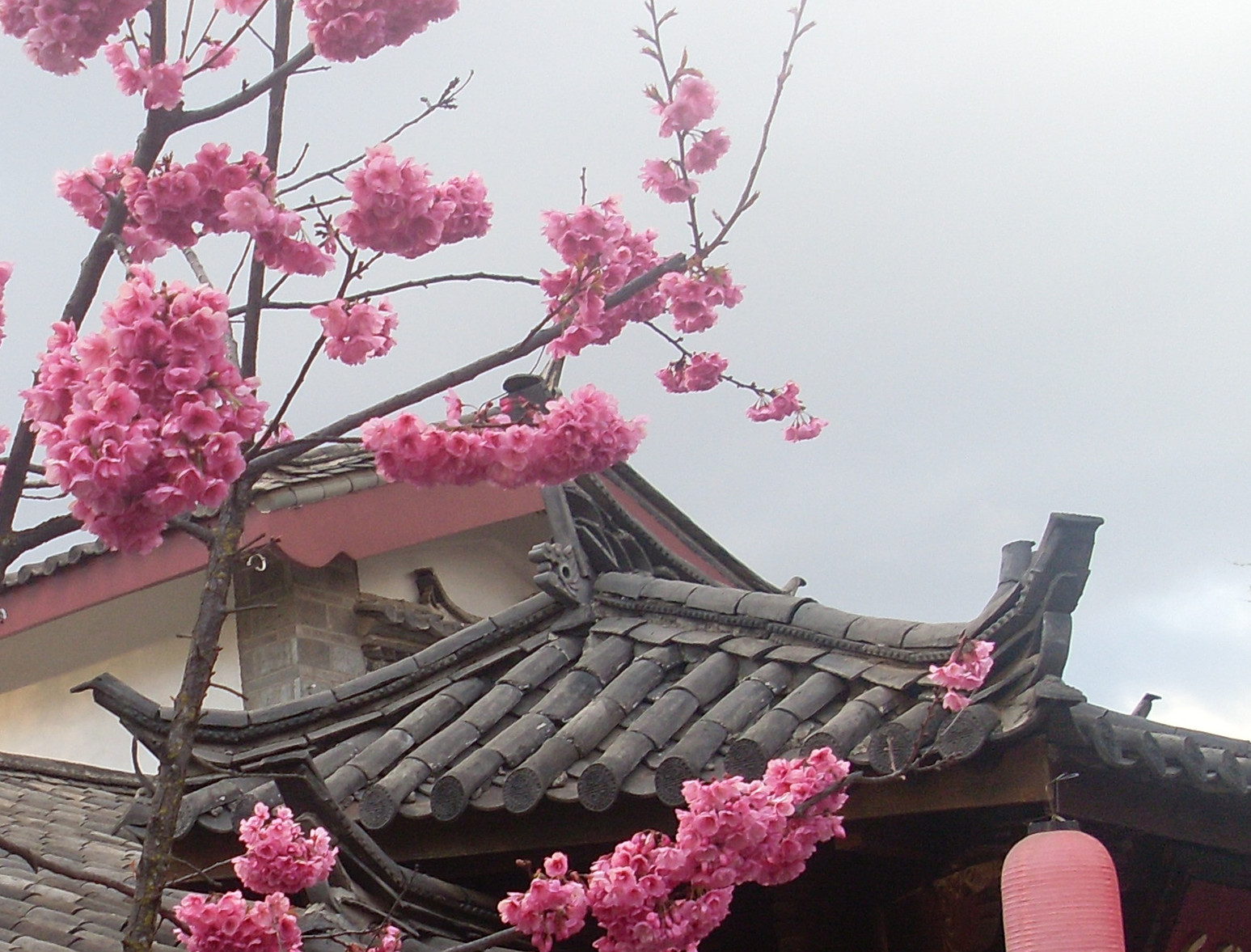 邂逅美怡味180314