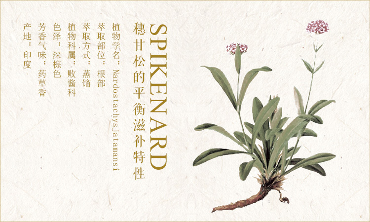 枕草子 放松安神助睡眠30ml复方植物精油芳料按摩油 公益[喜与]