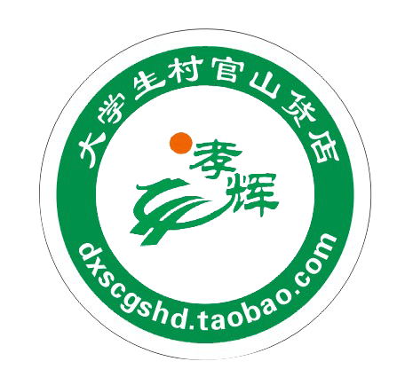 大学生村官山180314