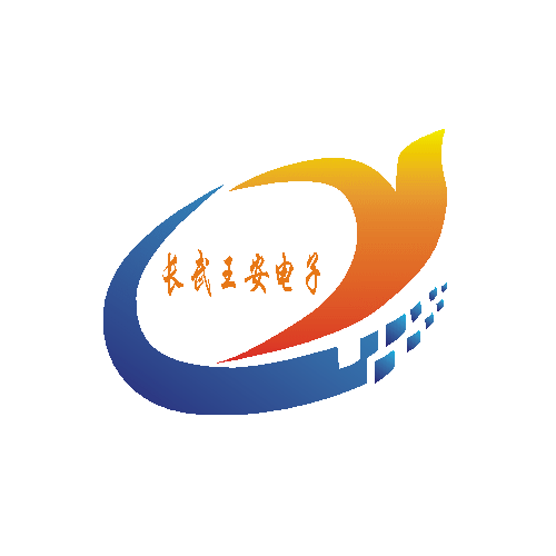 王安电子200509